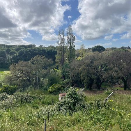 Quinta Dos Canais Setúbal Esterno foto
