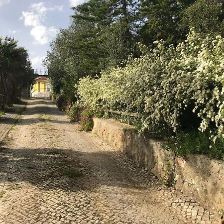 Quinta Dos Canais Setúbal Esterno foto