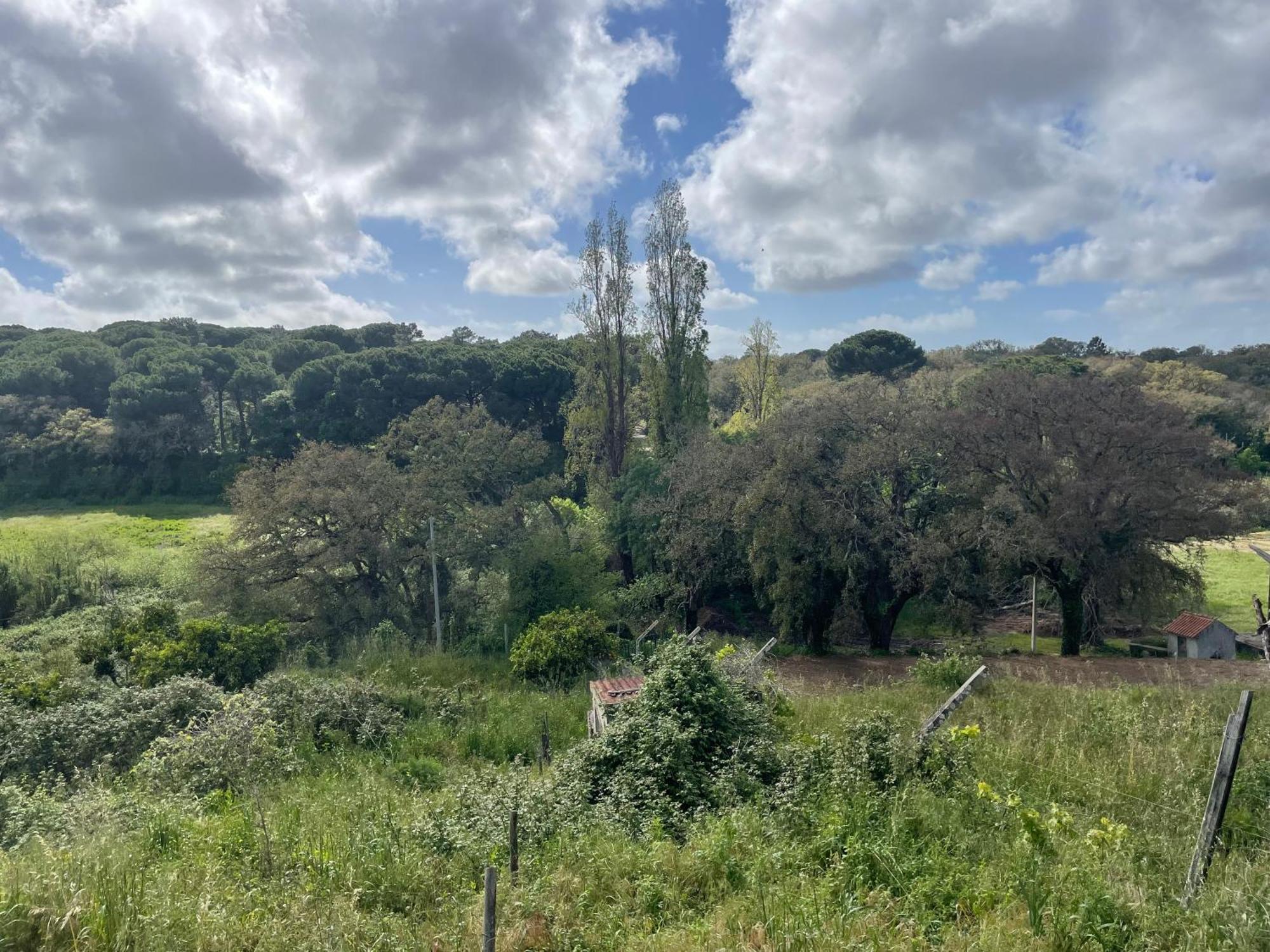 Quinta Dos Canais Setúbal Esterno foto