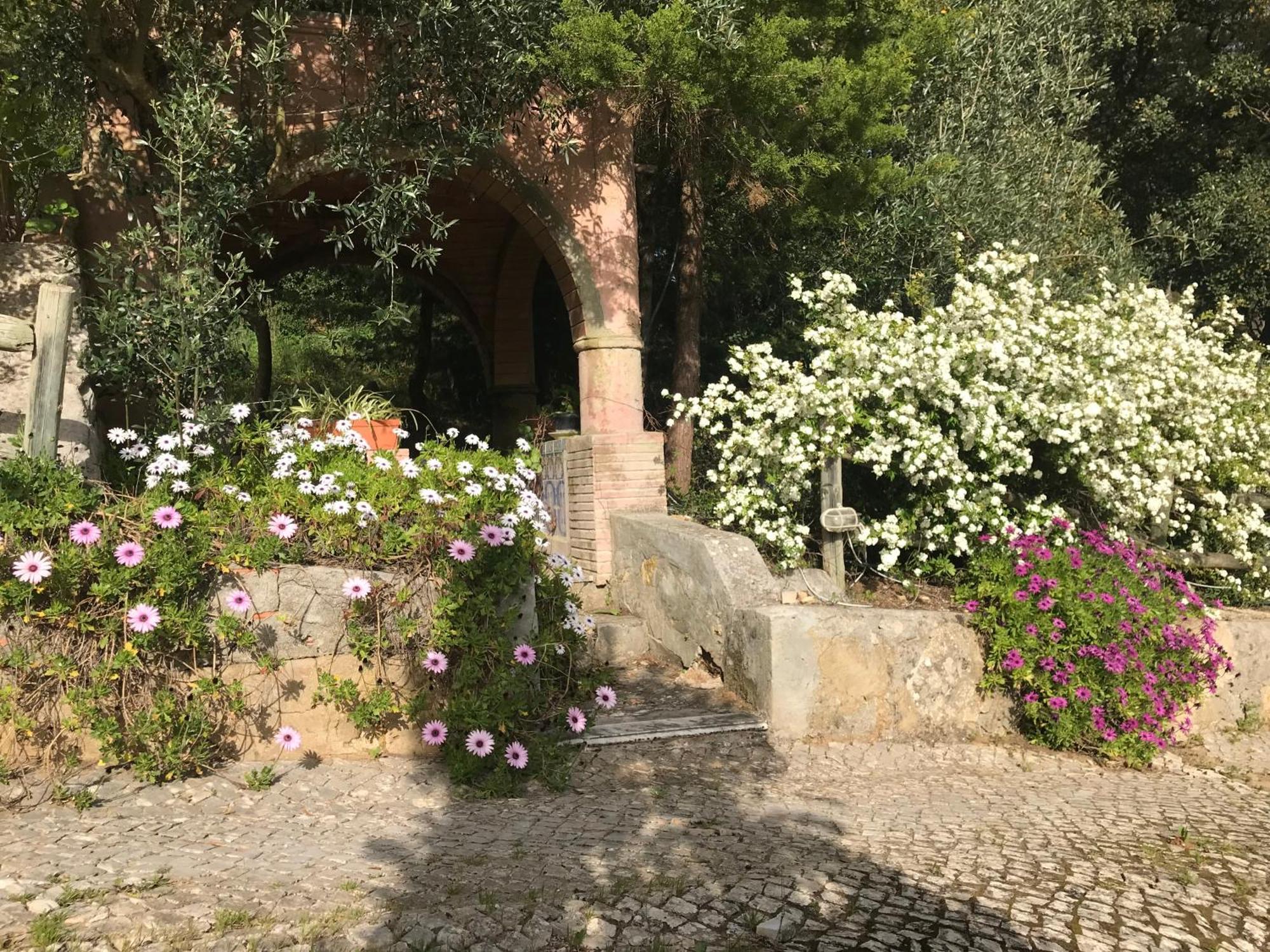 Quinta Dos Canais Setúbal Esterno foto