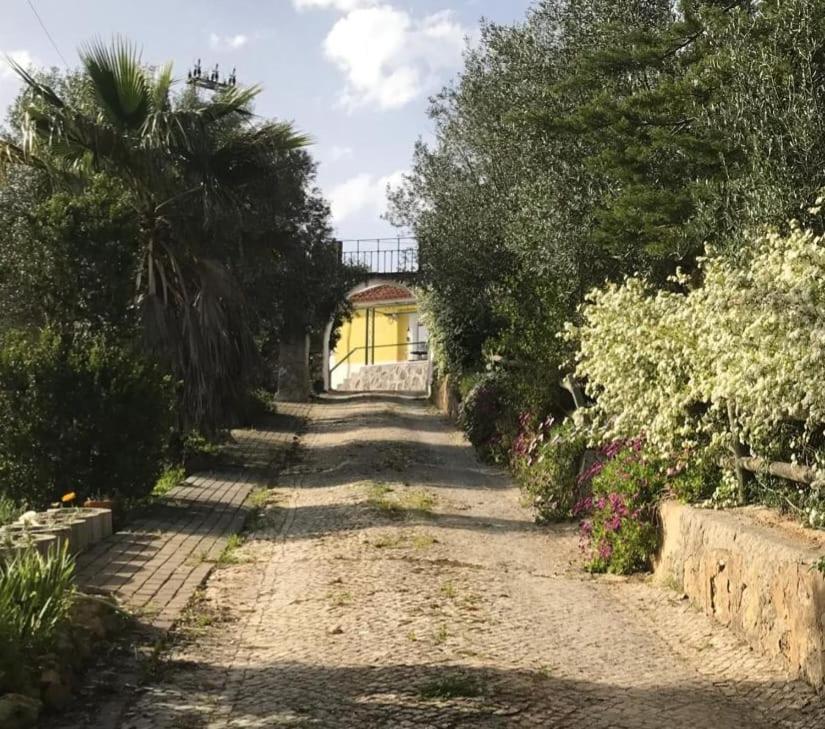 Quinta Dos Canais Setúbal Esterno foto