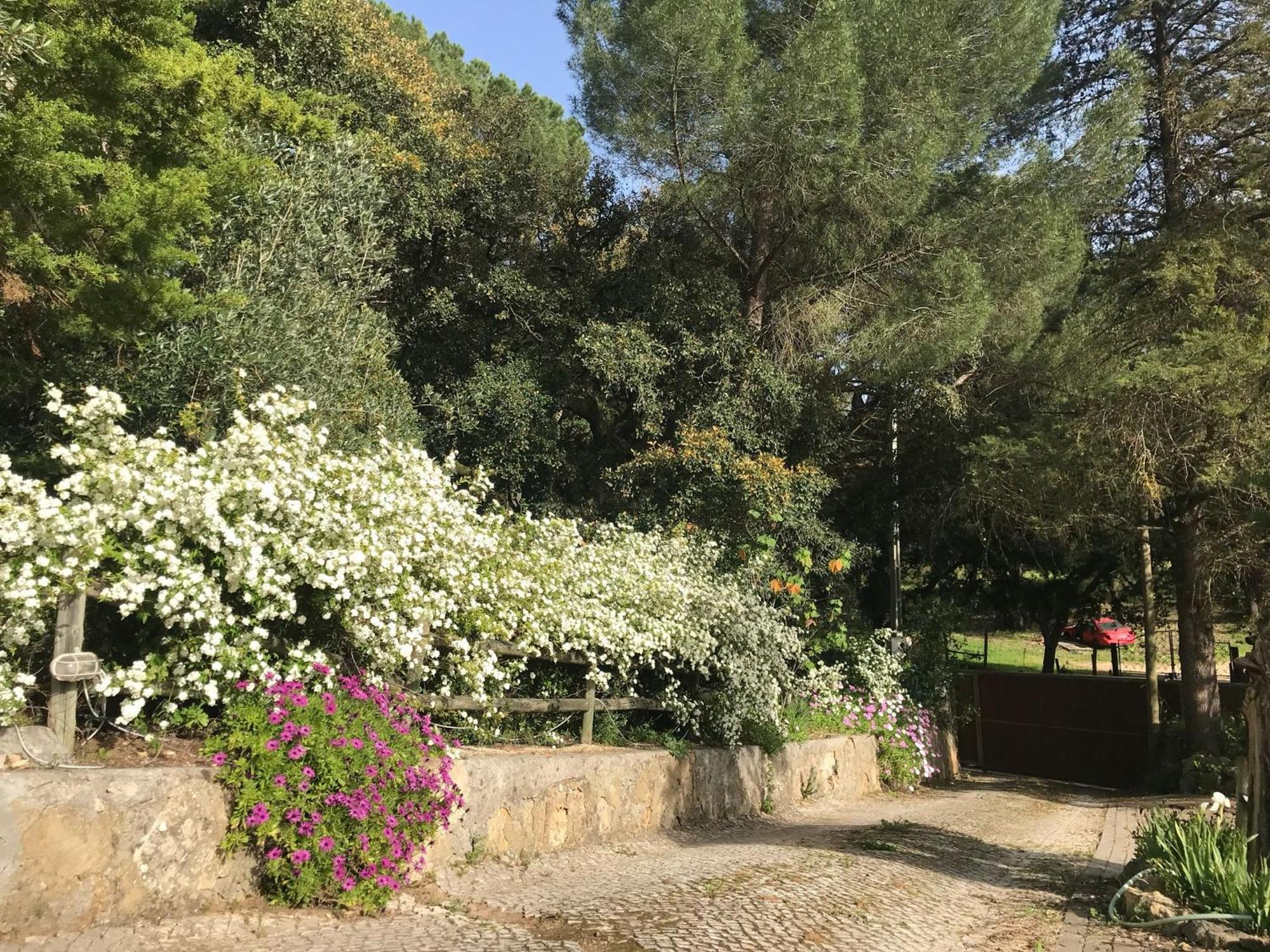 Quinta Dos Canais Setúbal Esterno foto