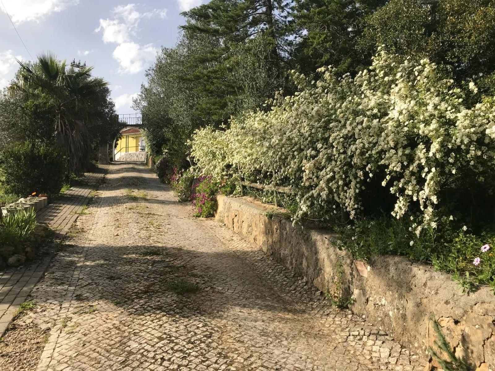 Quinta Dos Canais Setúbal Esterno foto