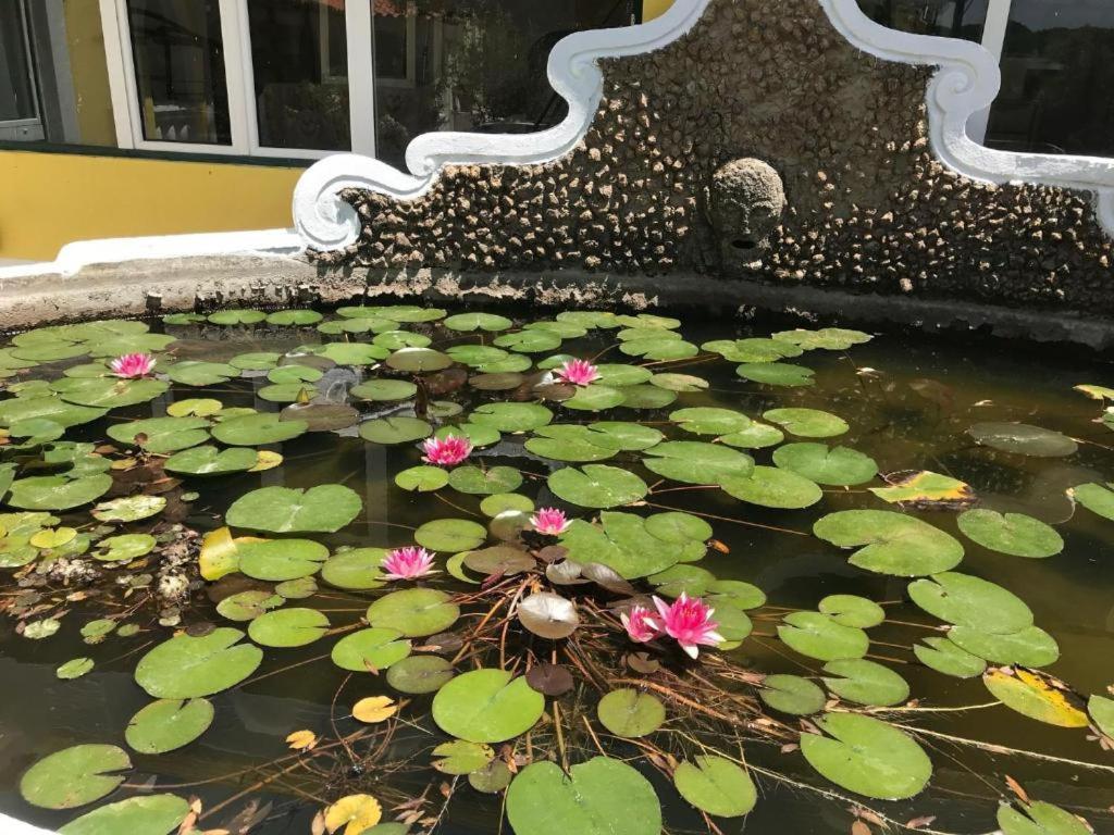 Quinta Dos Canais Setúbal Esterno foto