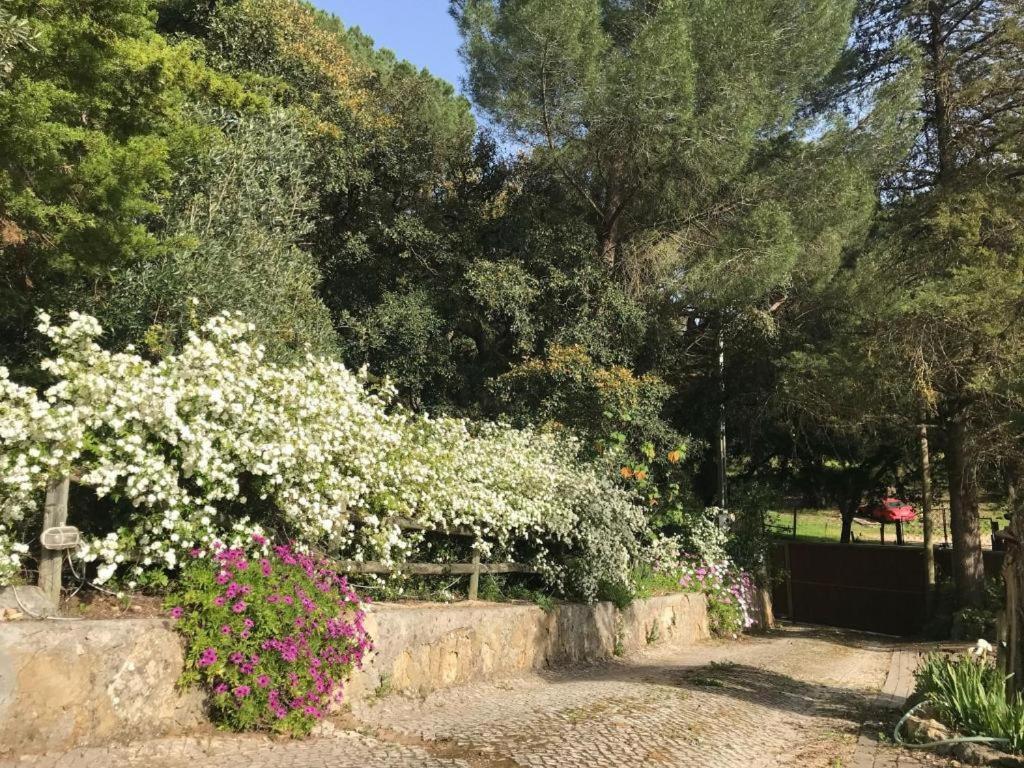 Quinta Dos Canais Setúbal Esterno foto