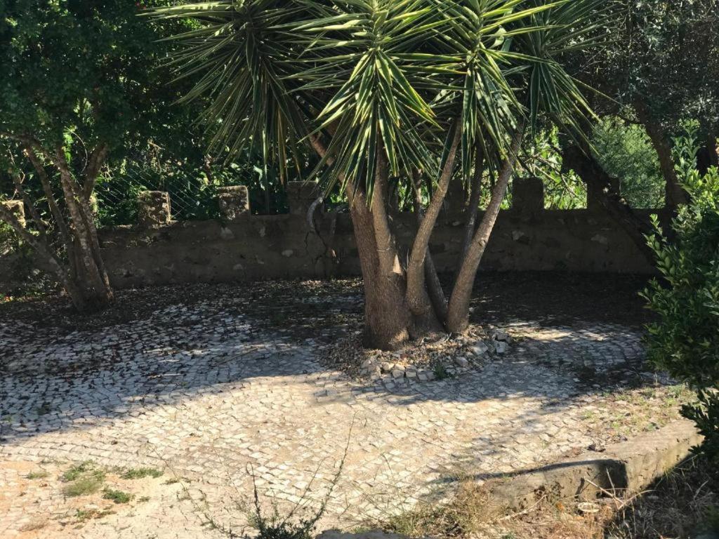 Quinta Dos Canais Setúbal Esterno foto